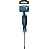 Hogert Atsuktuvas Torx T25, 100 mm, S2 plienas