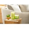Chesapeake Bay Candle 3 dagčių žvakė –Awaken &amp; Invigorate (Lemongrass Eucalyptus)