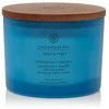 Chesapeake Bay Candle 3 dagčių žvakė – Confidence & Freedom (Oak Moss Amber)