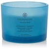 Chesapeake Bay Candle 3 dagčių žvakė – Confidence &amp; Freedom (Oak Moss Amber)