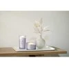 Chesapeake Bay Candle 3 dagčių žvakė – Joy &amp; Laughter (Cranberry Dahlia)