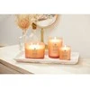 Chesapeake Bay Candle 3 dagčių žvakė – Love &amp; Passion (Grapefruit Mango)