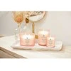 Chesapeake Bay Candle 3 dagčių žvakė – Stillness &amp; Purity (Rose Vanduo)
