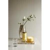 Chesapeake Bay Candle 3 dagčių žvakė – Strength &amp; Energy (Pineapple Coconut)