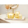 Chesapeake Bay Candle 3 dagčių žvakė – Strength &amp; Energy (Pineapple Coconut)