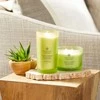 Chesapeake Bay Candle didelė žvakė – Awaken &amp; Invigorate (Lemongrass Eucalyptus)