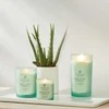 Chesapeake Bay Candle didelė žvakė – Balance &amp; Harmony (Waterlily Pear)