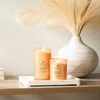 Chesapeake Bay Candle didelė žvakė – Love &amp; Passion (Grapefruit Mango)