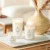 Chesapeake Bay Candle didelė žvakė – Peace &amp; Tranquility (Cashmere Jasmine)