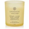 Chesapeake Bay Candle maža žvakė – Strength &amp; Energy (Pineapple Coconut)