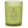 Chesapeake Bay Candle vidutinė žvakė – Awaken &amp; Invigorate (Lemongrass Eucalyptus)