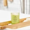Chesapeake Bay Candle vidutinė žvakė – Awaken &amp; Invigorate (Lemongrass Eucalyptus)