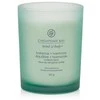 Chesapeake Bay Candle vidutinė žvakė – Balance &amp; Harmony (Waterlily Pear)