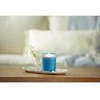 Chesapeake Bay Candle vidutinė žvakė – Confidence &amp; Freedom (Oak Moss Amber)