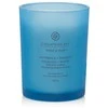 Chesapeake Bay Candle vidutinė žvakė – Confidence &amp; Freedom (Oak Moss Amber)