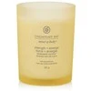 Chesapeake Bay Candle vidutinė žvakė – Strength &amp; Energy (Pineapple Coconut)