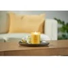Chesapeake Bay Candle vidutinė žvakė – Strength &amp; Energy (Pineapple Coconut)
