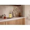 Woodwick Solar Orchid