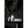 WoodWick Aromatinė žvakė (Magnolia Birch), 609,5 g