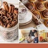 Yankee Candle Kvapų papildymas ScentPlug prietaisui – Cinnamon Stick (2vnt)
