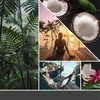 Yankee Candle Kvapų papildymas ScentPlug prietaisui – Juodas Coconut (2vnt)