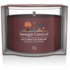 Yankee Candle Rudens svajonė 37 g