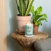 Yankee Candle Aromatinė žvakė Signature glass large Aloe - Agave 567 g