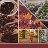 Yankee Candle Aromatinė žvakė Signatūrinė stiklinė didelė Autumn Daydream 567 g