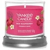 Yankee Candle kvapioji žvakė „Raudona“ su avietėmis, 122 g