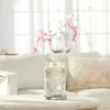 Yankee Candle Aromatinė žvakė Signature tumbler large Warm Cashmere 567 g
