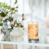 Yankee Candle Aromatinė žvakė Signature tumbler large Mango Ice Kreminis 567 g