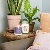 Yankee Candle Aromatinė žvakė Signature glass medium Stargazing 368 g
