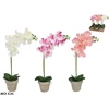 Dirbtinė orchidėja vazone 40 cm, 3 dizainai, 9x25x40 cm, LITO