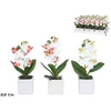 Dirbtinės orchidėjos vazone x5 – 22 cm, 6x6x22 cm, LITO