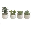 Dirbtiniai sukulentai 8–11 cm, 7x7x11 cm, LITO