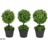 Dirbtinis dekoratyvinis medis vazone 21 cm, 12x12x21 cm, LITO