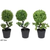 Dirbtinis dekoratyvinis medis vazone 27 cm, 12x18x27 cm, LITO