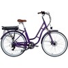E-bike 28" AL Dorozhnik CORAL DD FR frame-19" 36V 12.5A*h 250W violetinė-mėlynas YS 750 2025