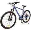Mountain Kalnų dviratis TopVelo Vodin XC 4.2 su diskiniais stabdžiais Shimano (29", rėmas 20", šviesiai pilkas)