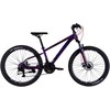 Kalnų dviratis Discovery TREK 26″ DD FR Frame 13″ Violetinė 2025