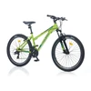 Mountain bike TopVelo CORELLI VIA 4.3 (Wheel size: 24, Frame size: 12) Žalias with dark žalias-pilka design
