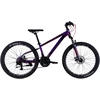 Mountain bike TopVelo Discovery TREK DD FR (Wheel size: 29, Frame size: 19) Violetinė