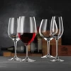 VIVINO šampano taurių rinkinys. 4 vnt., 260 ml