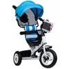 Blue Vaikiškas triratukas Ecotoys Mėlyna/Baltas