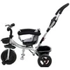 Vaikiškas triratukas Funfit Kids Twist