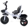 Vaikiškas triratukas Funfit Kids Twist Rose