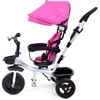 Vaikiškas triratukas Funfit Kids Twist Rose