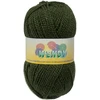 Mezgimo siūlai Elian Wendy 100 g, spalva 3134