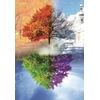 RAINBOW Deimantinio paveikslo-mozaikos 5D rinkinys (akučių klijavimas) 30x40 cm DK41036
