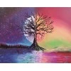RAINBOW Deimantinio paveikslo-mozaikos 5D rinkinys (akučių klijavimas) 25x30 cm DK32223